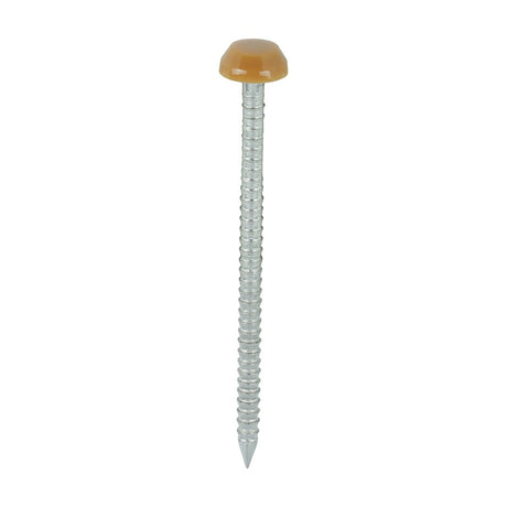 250 x TIMCO Polymer Headed Pins A4 Stainless Steel Oak - 40mm