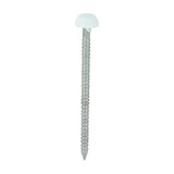 250 x TIMCO Polymer Headed Pins A4 Stainless Steel White - 40mm