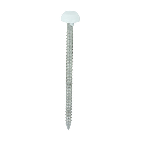 250 x TIMCO Polymer Headed Pins A4 Stainless Steel White - 40mm