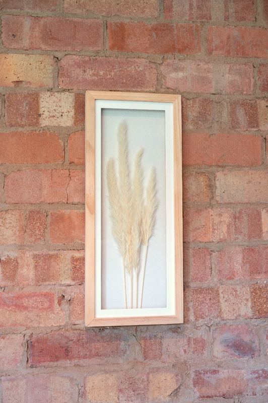 White Pampas In Rectangular Frame 50cm