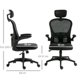 Vinsetto Multi-Adjustable Office Chair, with Lumbar Support, Headrest and Mesh Back - Black