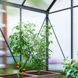 Outsunny 192.5 x 131cm Walk-In Polycarbonate Greenhouse