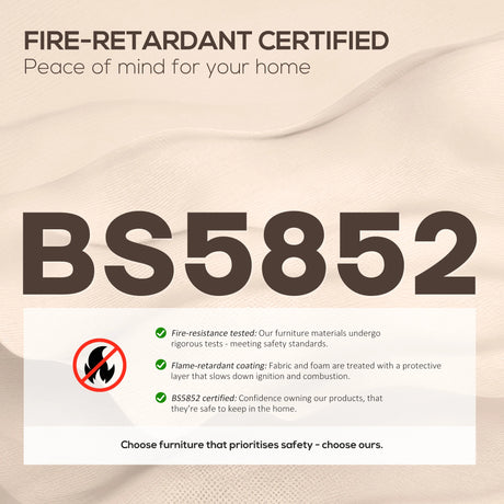 HOMCOM Electric Rise/Recline Armchair, with Reading Light - Brown