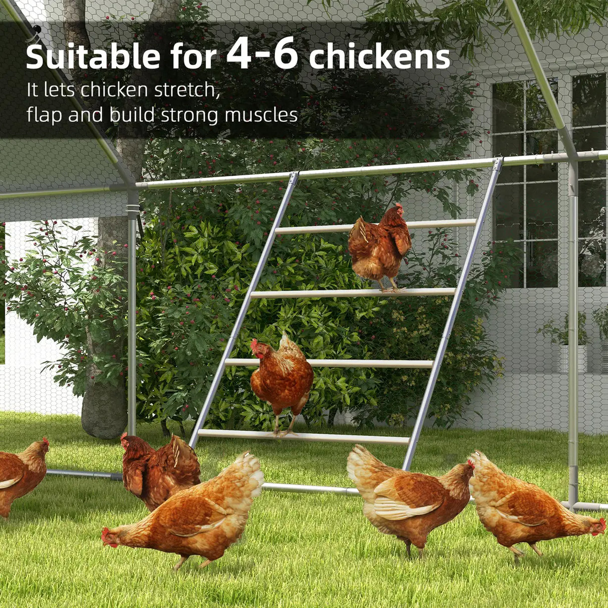 PawHut Chicken Perch for Coop, Wooden and Galvanised Steel Roosting Bar Jungle Gym, Chicken Roosting Ladder for Backyard Farm