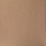 Domestic Vinyl - Domestic Vinyl - Beige