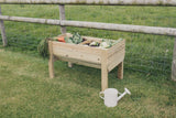 RAISED VEG TRUG / PLANTER - L100CM X H60CM X W52CM