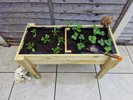 RAISED VEG TRUG / PLANTER - L150CM X H60CM X W52CM
