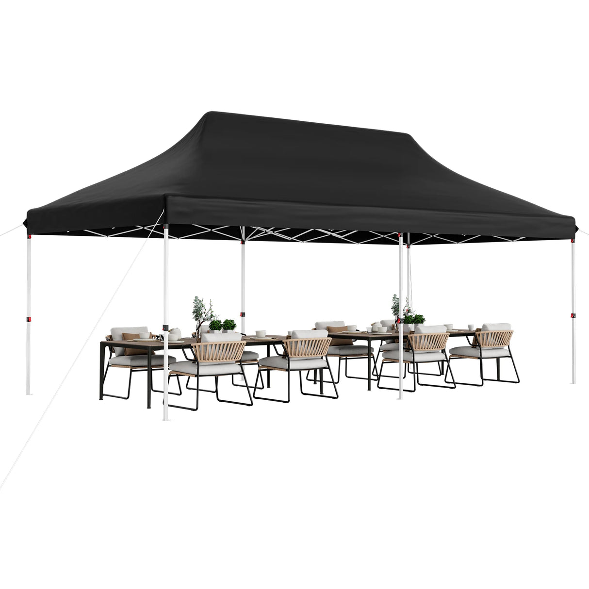 10 x 20 FT Pop-up Canopy Tent with Carrying Bag-Black