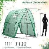 6 x 6 x 6.6 FT Outdoor Wall-in Tunnel Greenhouse-Green
