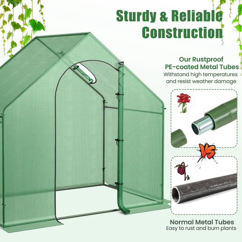 Mini Walk-in Greenhouse with PE Cover