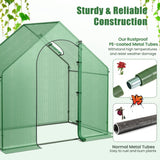 Mini Walk-in Greenhouse with PE Cover