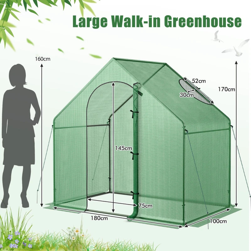 Mini Walk-in Greenhouse with PE Cover