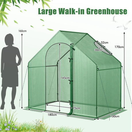 Mini Walk-in Greenhouse with PE Cover