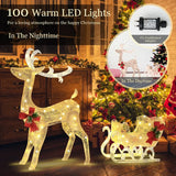 Pre-lit Holiday Outdoor Lighted Christmas Reindeer and Sleigh Decoration