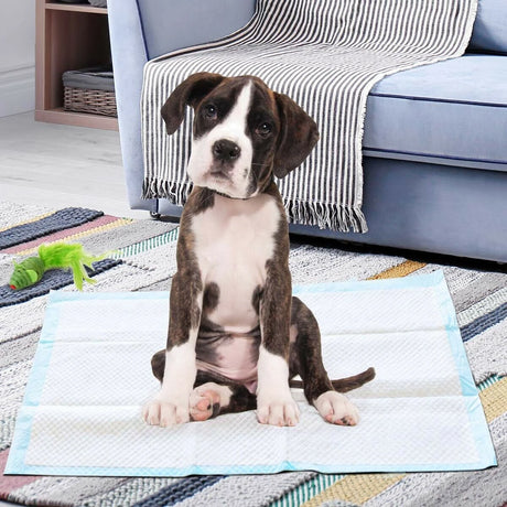 150 Pieces Extra Large Dog Pee pads with Super Absorbent for Doggies