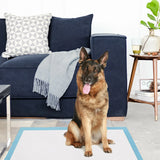 150 Pieces Extra Large Dog Pee pads with Super Absorbent for Doggies
