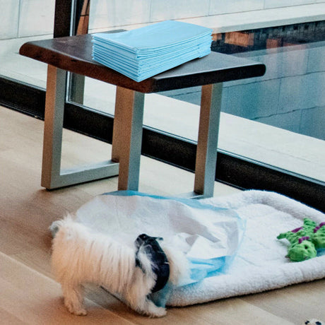 150 Pieces Extra Large Dog Pee pads with Super Absorbent for Doggies