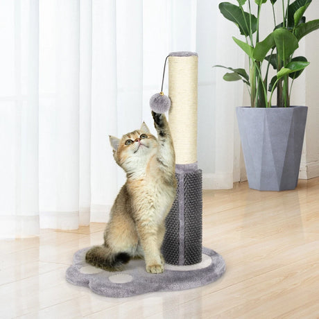 2-in-1 Cat Scratching Post with Message Brush and Dangling Ball