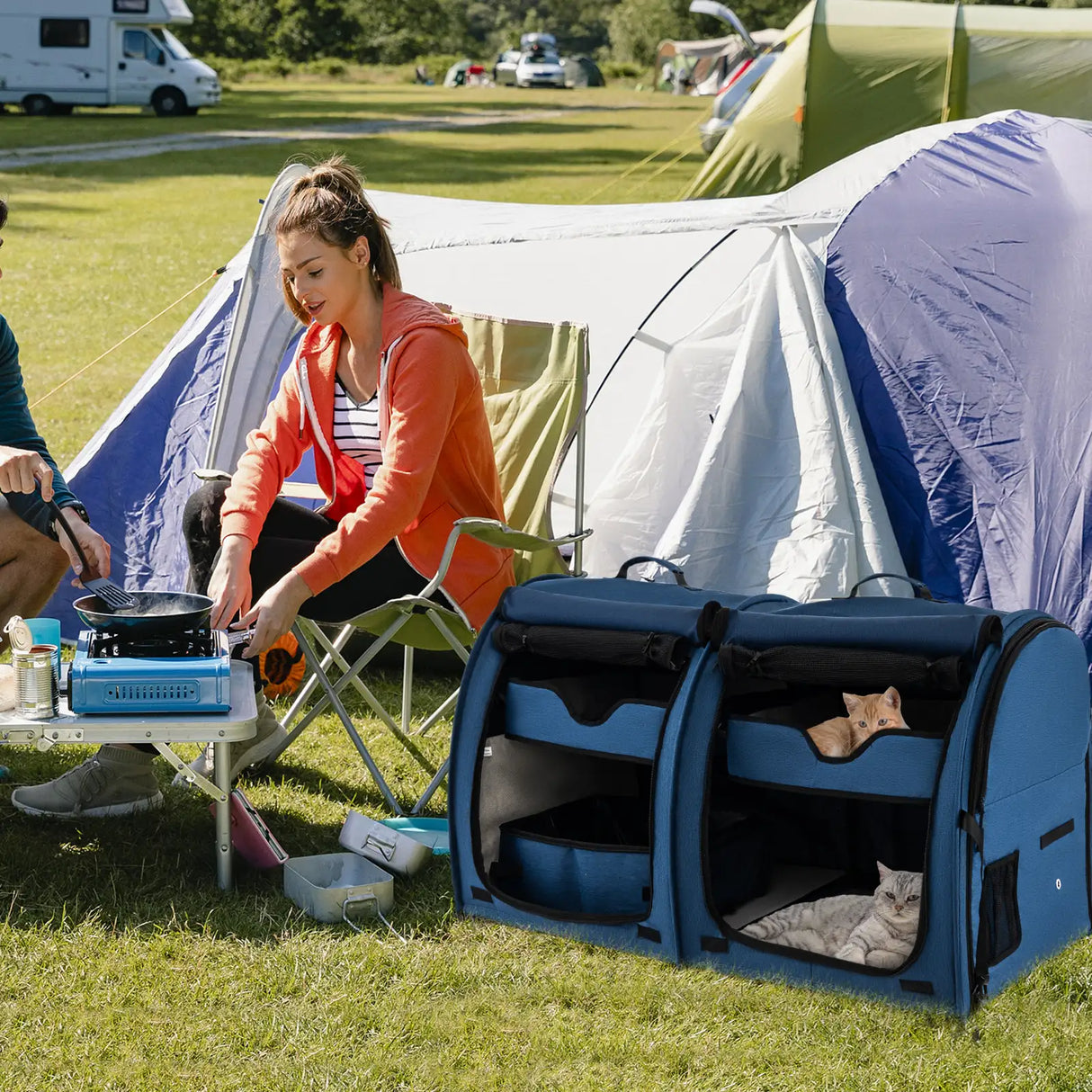 Double Compartment Pet Carrier with 2 Removable Hammocks-Navy