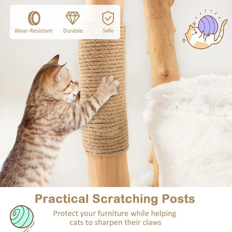 Solid Wood Cat Tower with Top Cattail Basket Cat Bed for Indoor Cats-White