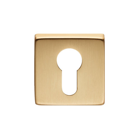 ESCUTCHEON - EURO PROFILE ON CONCEALED FIX SQUARE ROSE OSA (SATIN BRASS) - SATIN BRASS - EACH