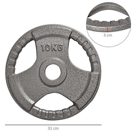 HOMCOM Set of 2 Cast Iron Weight Plates for 2"/5cm Hole Dumbbell Handle Bar, Barbell Weight 2 x 10kg
