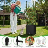 Raised Garden Bed with Obelisk Trellis and 3 Heights & Detachable PE-Coated Metal Tubes-Black