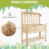 Wooden Raised Garden Bed with Large Plant Box for Garden