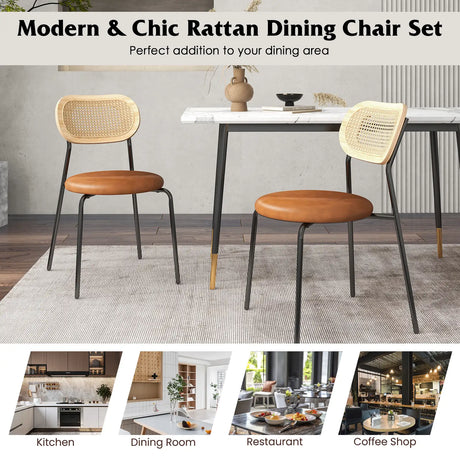 Set of 2 Rattan Dining Chair with Metal Legs-Coffee
