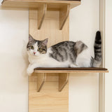 PawHut 4-Level Door Mounted Cat Tree with Washable Plush Mats, Toy Balls, Door Hanging Cat Shelf for Indoor Cats