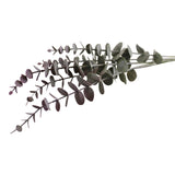 Blue & Blush Coloured Single Spray of Eucalyptus Leaves, 71cm