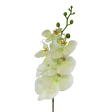 Single Orchid Spray, Cream Flowers, 85cm