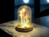 Mushroom Glass Globe with L.E.D Lighting