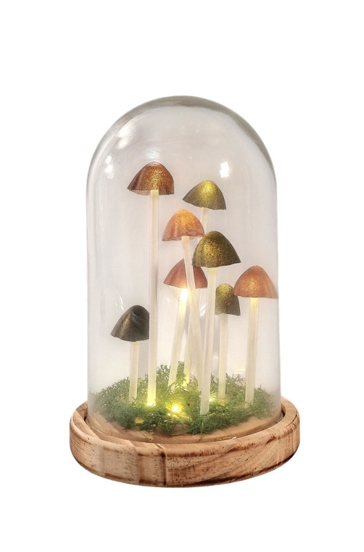 Mushroom Glass Globe with L.E.D Lighting 22cm