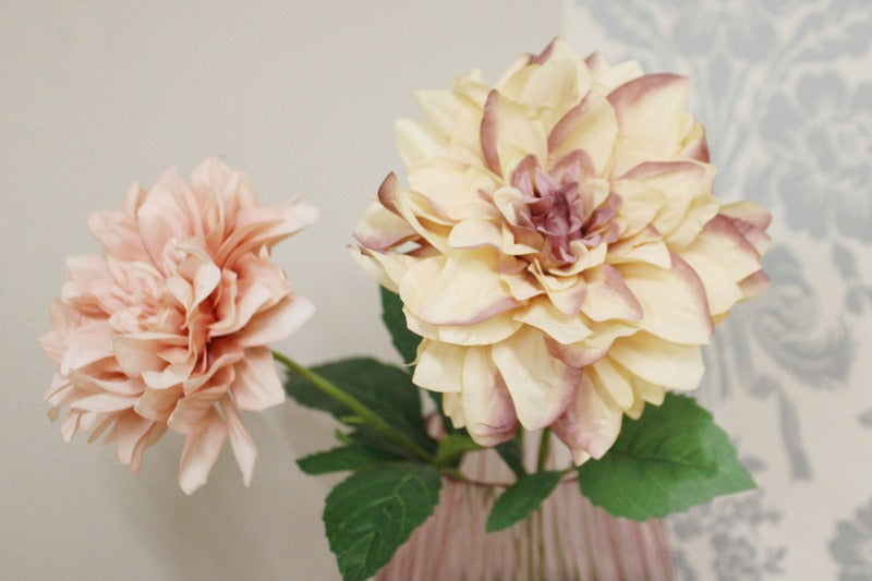 Dahlia Flower Stems