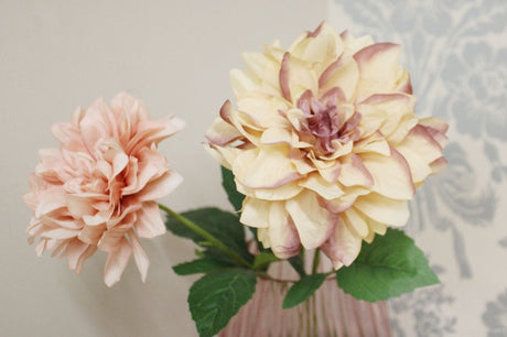 Dahlia Flower Stems