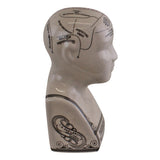 Small Ceramic Crackle Phrenology Head