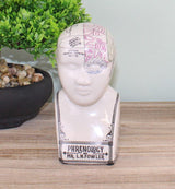 Small Ceramic Crackle Phrenology Head