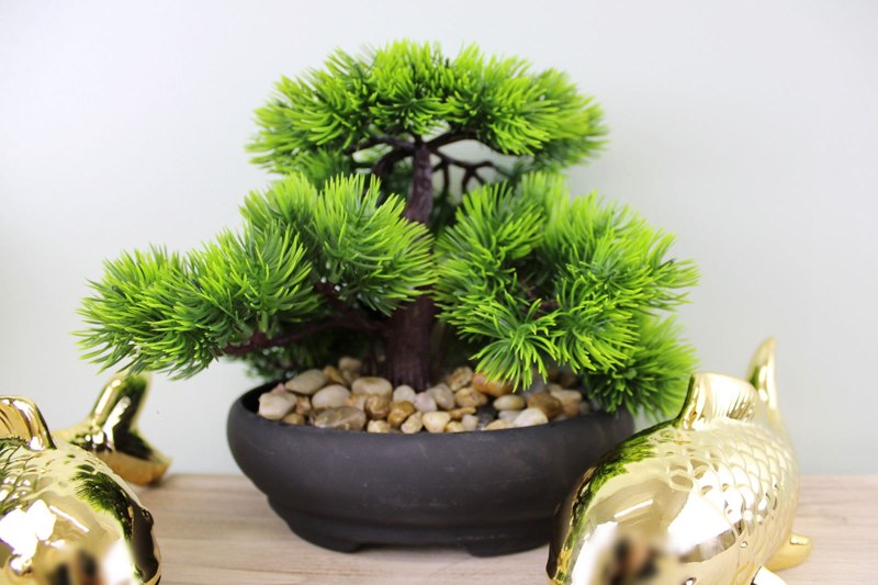 Eastern Faux Bonsai Tree in Fir Tree style