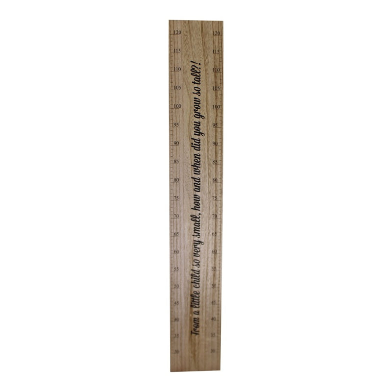 Height Chart Wall Plaque, How Did You Grow So Tall?, 100cm