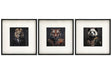 Set of 3 Jungle Animal Head Prints Picture Art 40x40cm