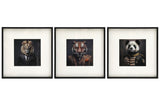 Set of 3 Jungle Animal Head Prints Picture Art 40x40cm