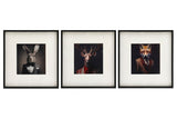 Set of 3 Forest Animal Head Prints Picture Art 40x40cm