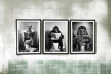 Set of 3 Animal's on the Toilet Framed Canvas 45x60cm