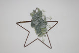 Hanging Wire Star with Eucalyptus Detail