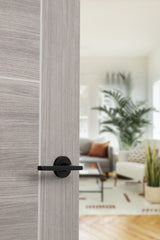 STATUS Alaska Lever Door Handle on Round Rose - Matt Black - Set