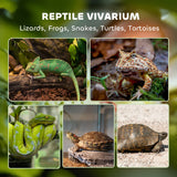 PawHut Reptile Glass Terrarium with Stone Background, Front Ventilation, Escape-Proof Knob Lock, 50 x 30 x 35 cm, Black