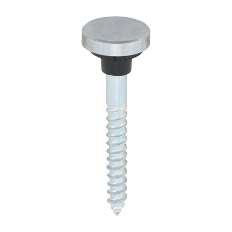 8 x TIMCO Mirror Screws Flat Head Chrome - 8 x 1 1/2