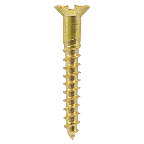 100 x TIMCO Solid Brass Countersunk Woodscrews - 10 x 2