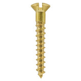 200 x TIMCO Solid Brass Round Head Woodscrews - 6 x 1